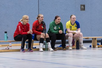 Bild 273 - F HSG Pinnau2 - Rellinger TV2 : Ergebnis: 27:20